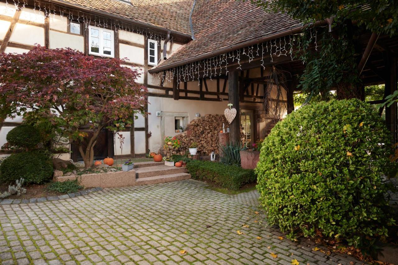 La Cour De Lise Maison D'Hotes Et Spa Willgottheim Exteriér fotografie