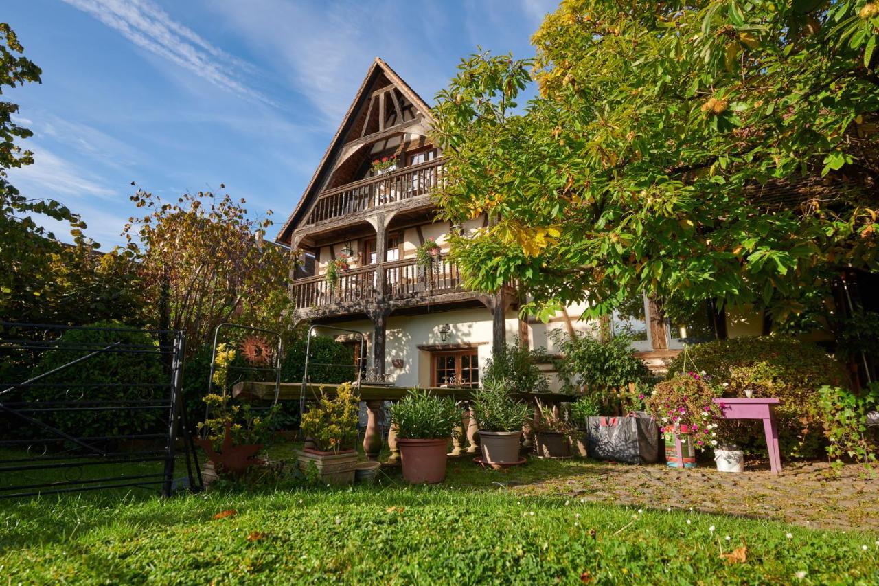 La Cour De Lise Maison D'Hotes Et Spa Willgottheim Exteriér fotografie
