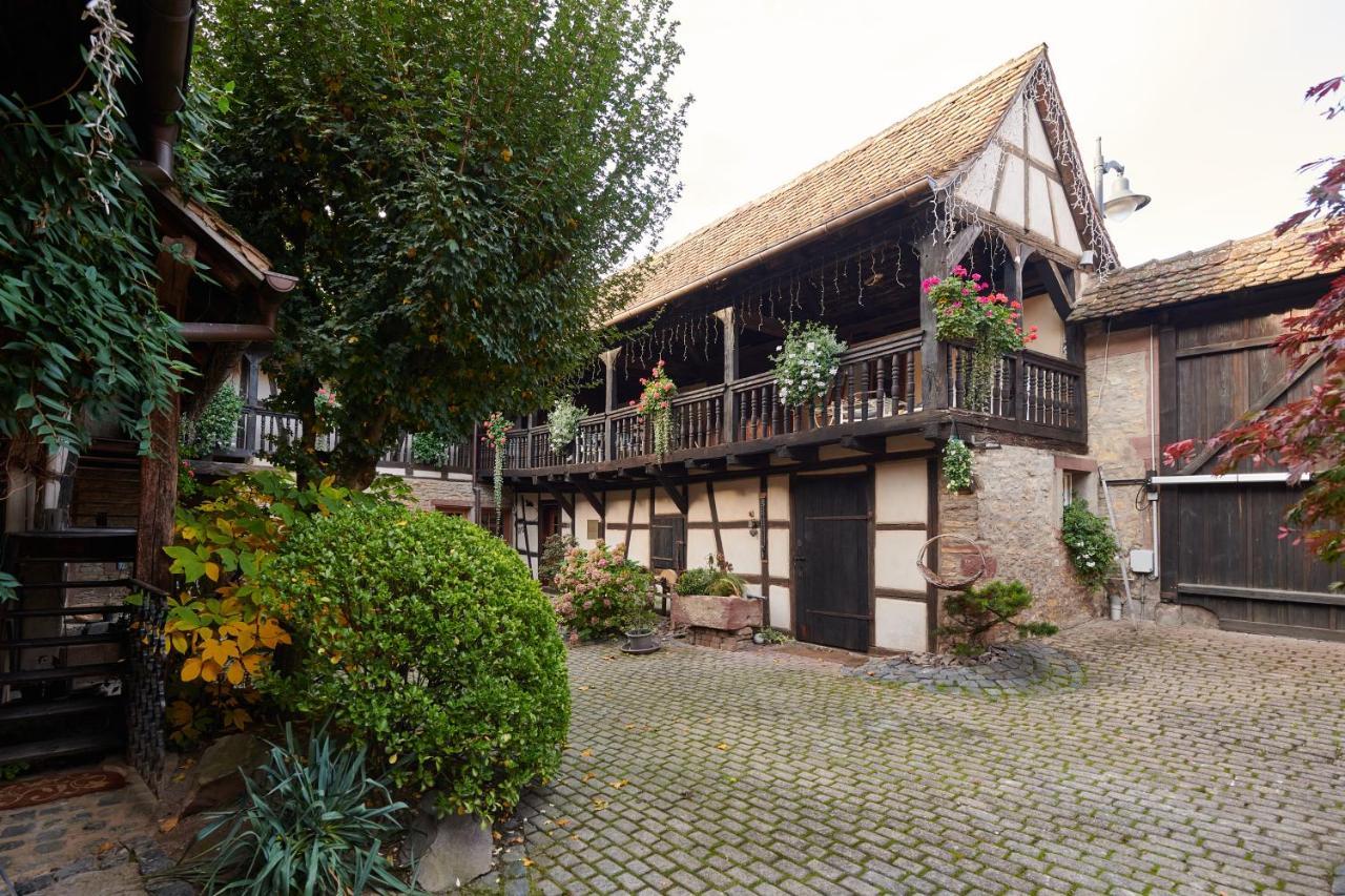 La Cour De Lise Maison D'Hotes Et Spa Willgottheim Exteriér fotografie